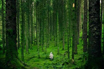 15 amazing photo studio pictures