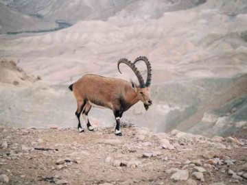 The best ways to utilize gaming laptops